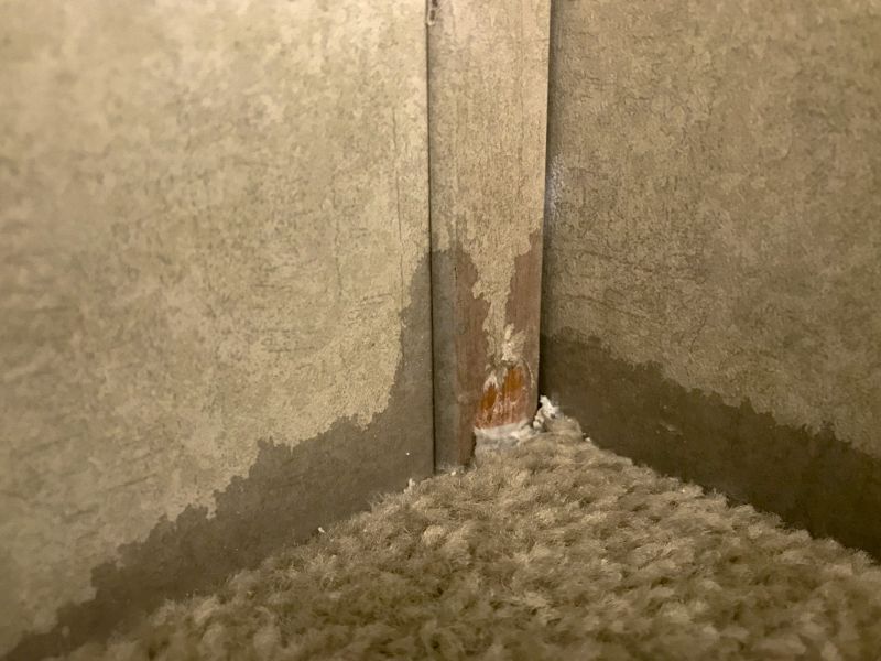 Carpet Repair Cost Guide — Cost of Carpet Repair