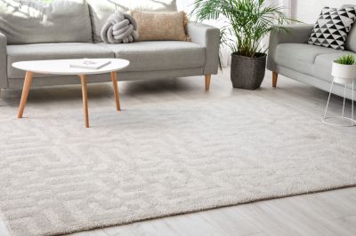 Restore The Look of Your Carpet!